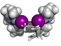 molecule model