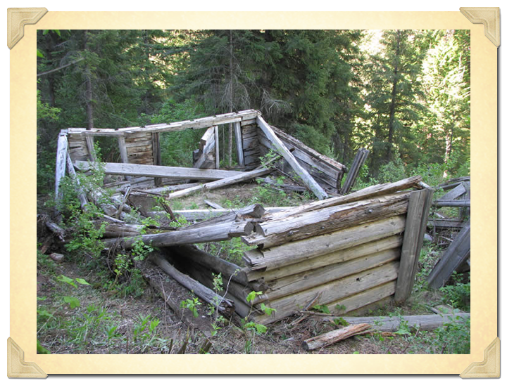 Louiseville cabin after brush removal