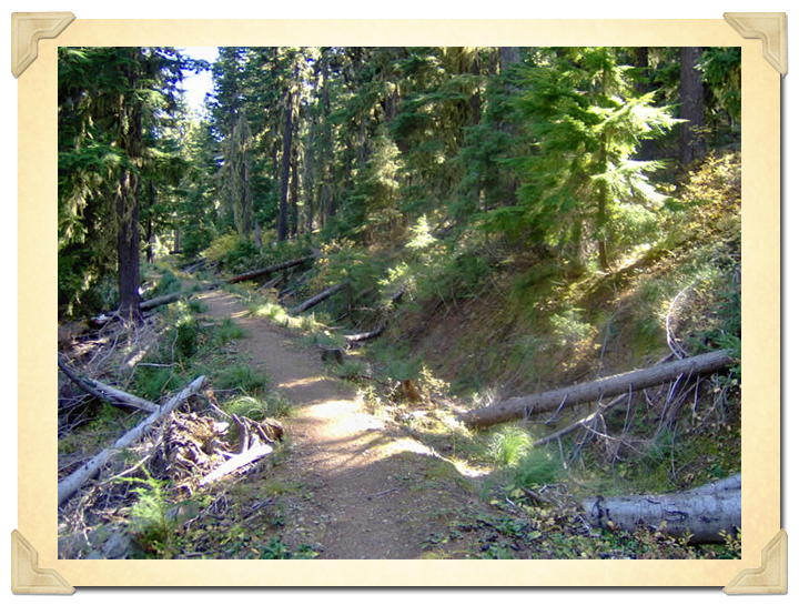 Portion of the Thompson Pass China Ditch