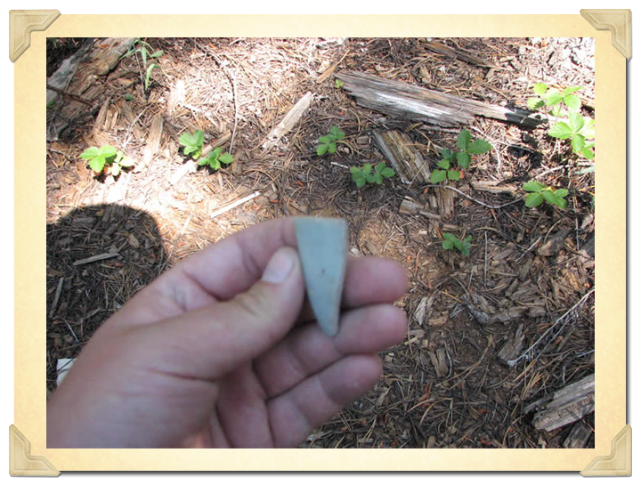 Fragment of Chinese celadon rice bowl