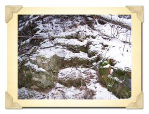 Snow-dusted rock steps and patches of moss on a forest floor with scattered branches.