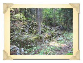 Moss-covered stone terrace ruins in a wooded forest with sunlight filtering through the trees.