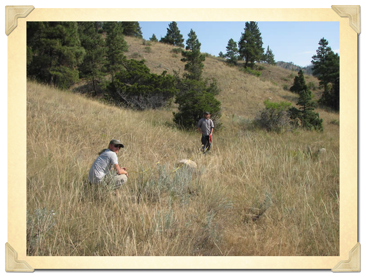 Archaeologists mapping in structure pads that relate to the Chinese neighborhood of Cave Town east of Canyon Ferry.