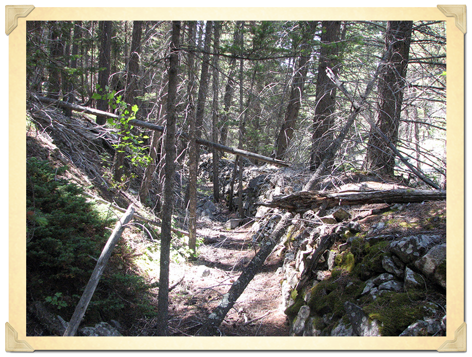 Hand-stacked rock-lined ditch, Ophir Cr.