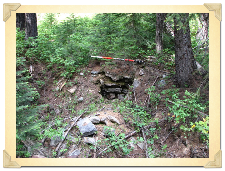 Chinese rock hearth at the site of Forest City in Cedar Creek