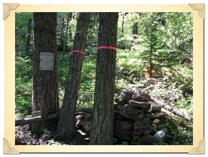 Chinese rock hearth before hazard tree removal.