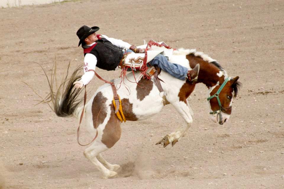 Riding a Bronco at Rodeo Event