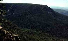 Distant view of a forested mountain ridge under a hazy sky.