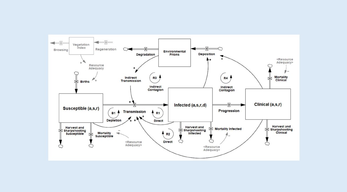 Systems thinking model