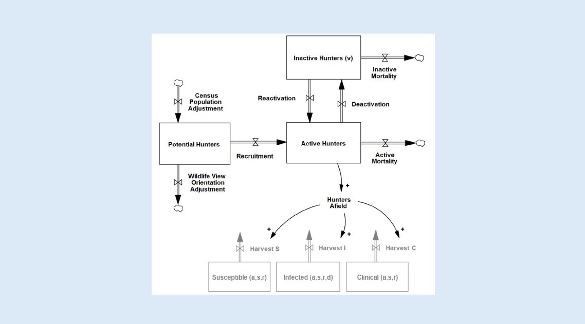 Systems thinking model 2