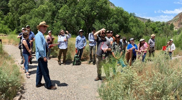 A Brewer’s Sparrow in hand