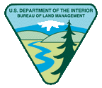 BLM logo