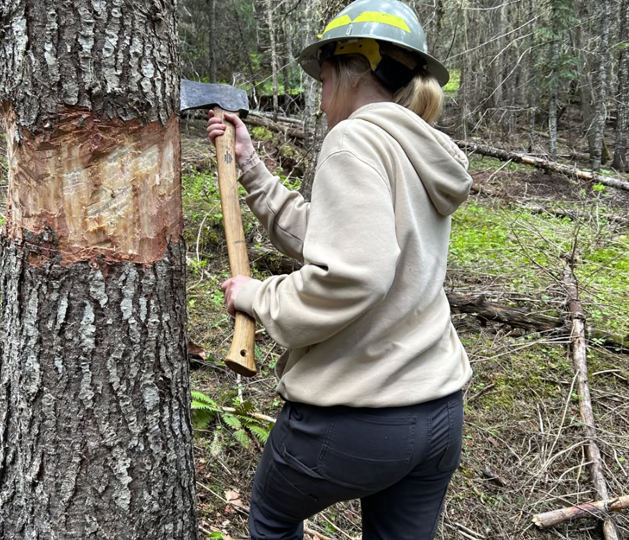 woman axing tree