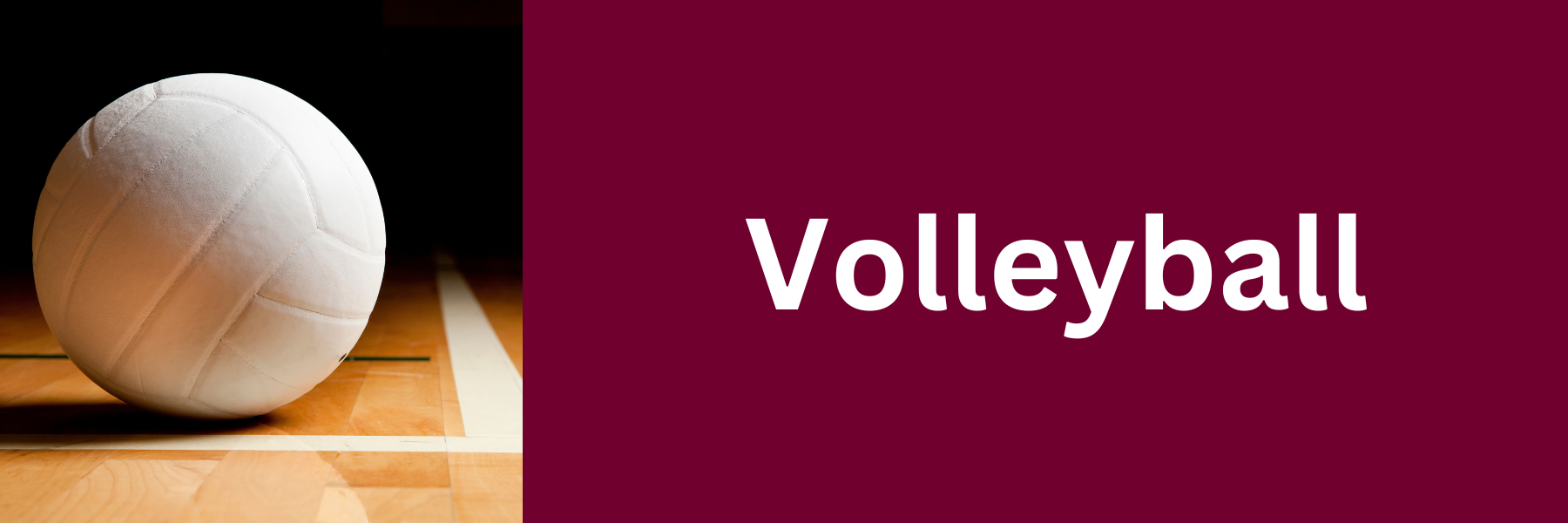 vball-other-side.png