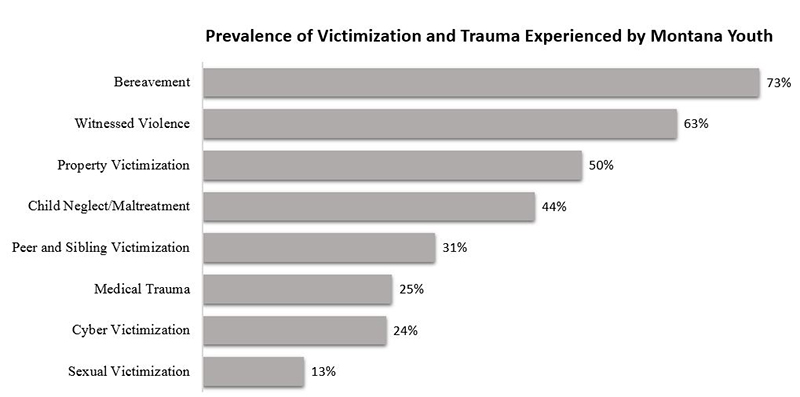 figure showing most common type of potentially traumatic experience reported by youth