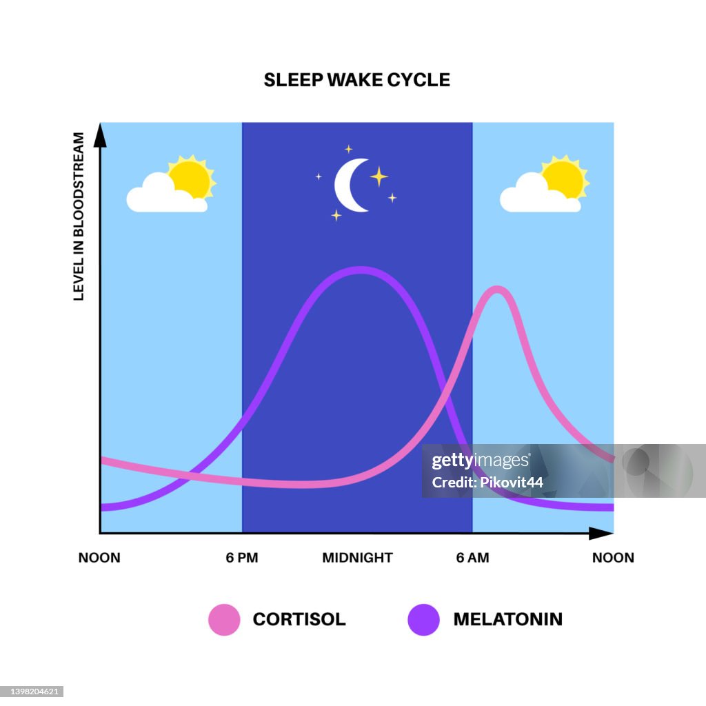 A graph labeled “Sleep Wake Cycle” displays hormone levels in the bloodstream across a 24-hour period from noon to noon. The horizontal axis shows time markers at noon, 6 PM, midnight, 6 AM, and noon. The vertical axis is labeled “Level in Bloodstream.” The background shifts from light blue (daytime) to dark blue (nighttime) and back to light blue, with sun icons during the day and a moon and stars at night. Two curved lines are shown: a purple line representing melatonin and a pink line representing cortisol. Melatonin gradually rises in the evening, peaks around midnight, and decreases toward morning. Cortisol remains lower overnight, then rises sharply in the early morning around 6 AM before gradually declining throughout the day.