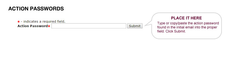 Type the action password in the proper field and click Submit.