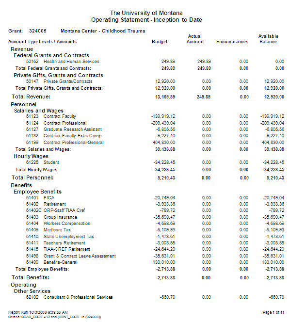 example of a custom report