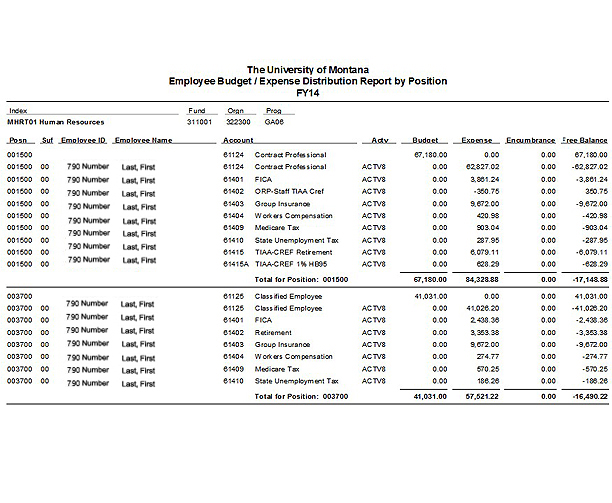 example of budget/expense by position report