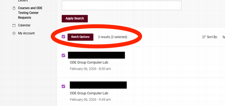 Screenshot highlighting the "Batch Options" section with two selected results in a scheduling interface.