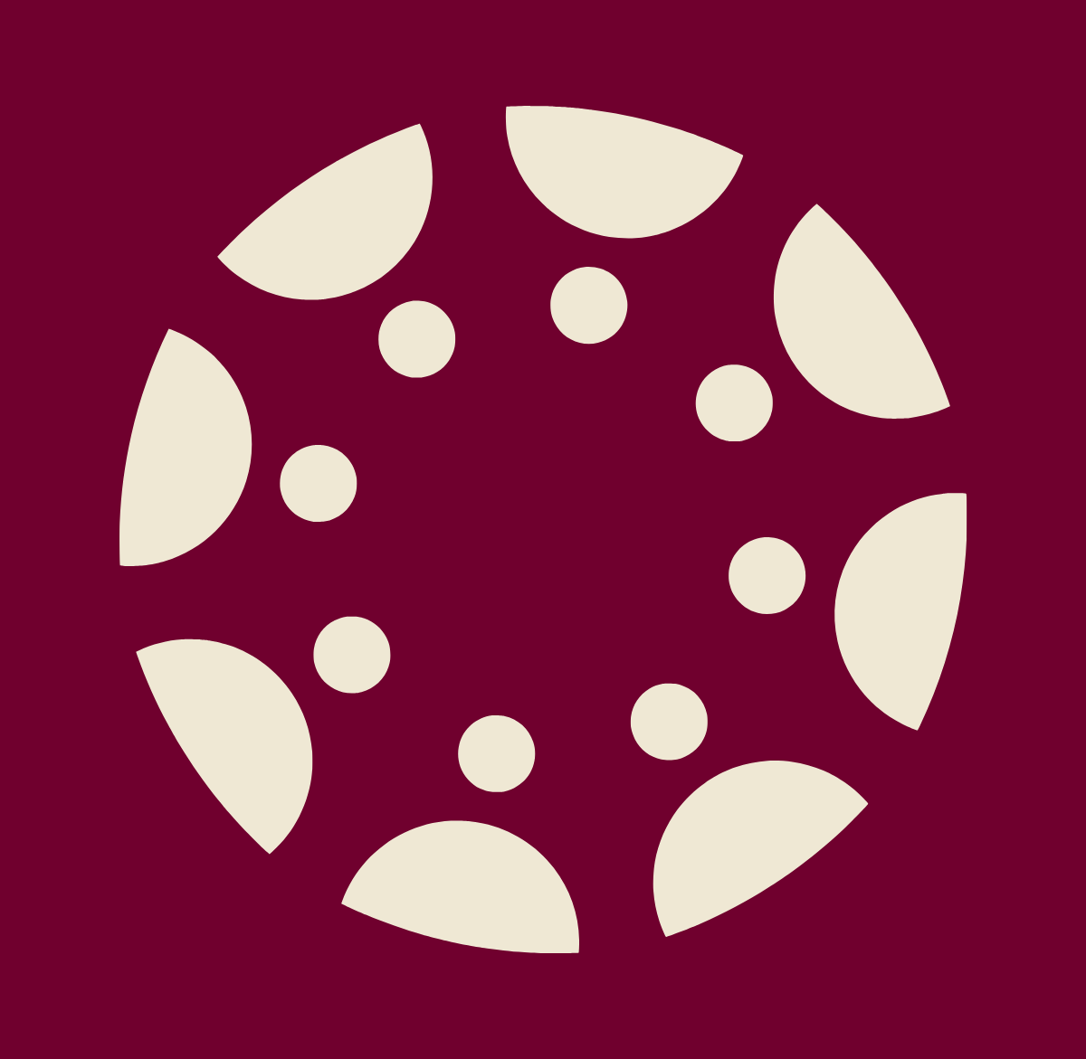 Canvas Learning Management System