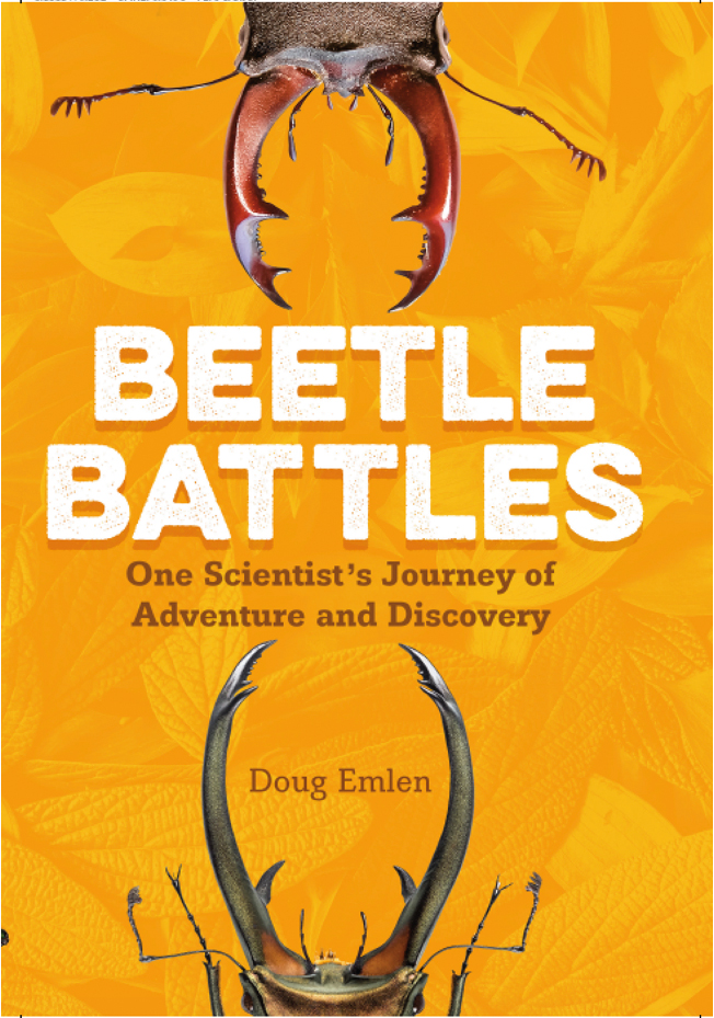 Beetle battles cover image