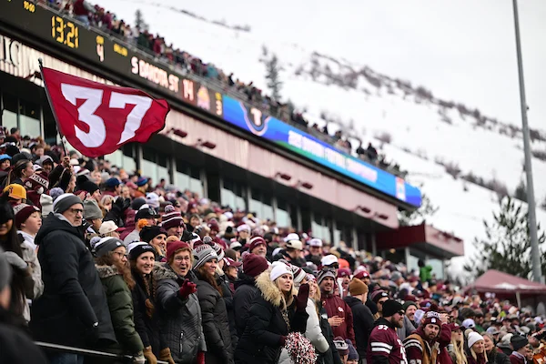 Football fans at a game