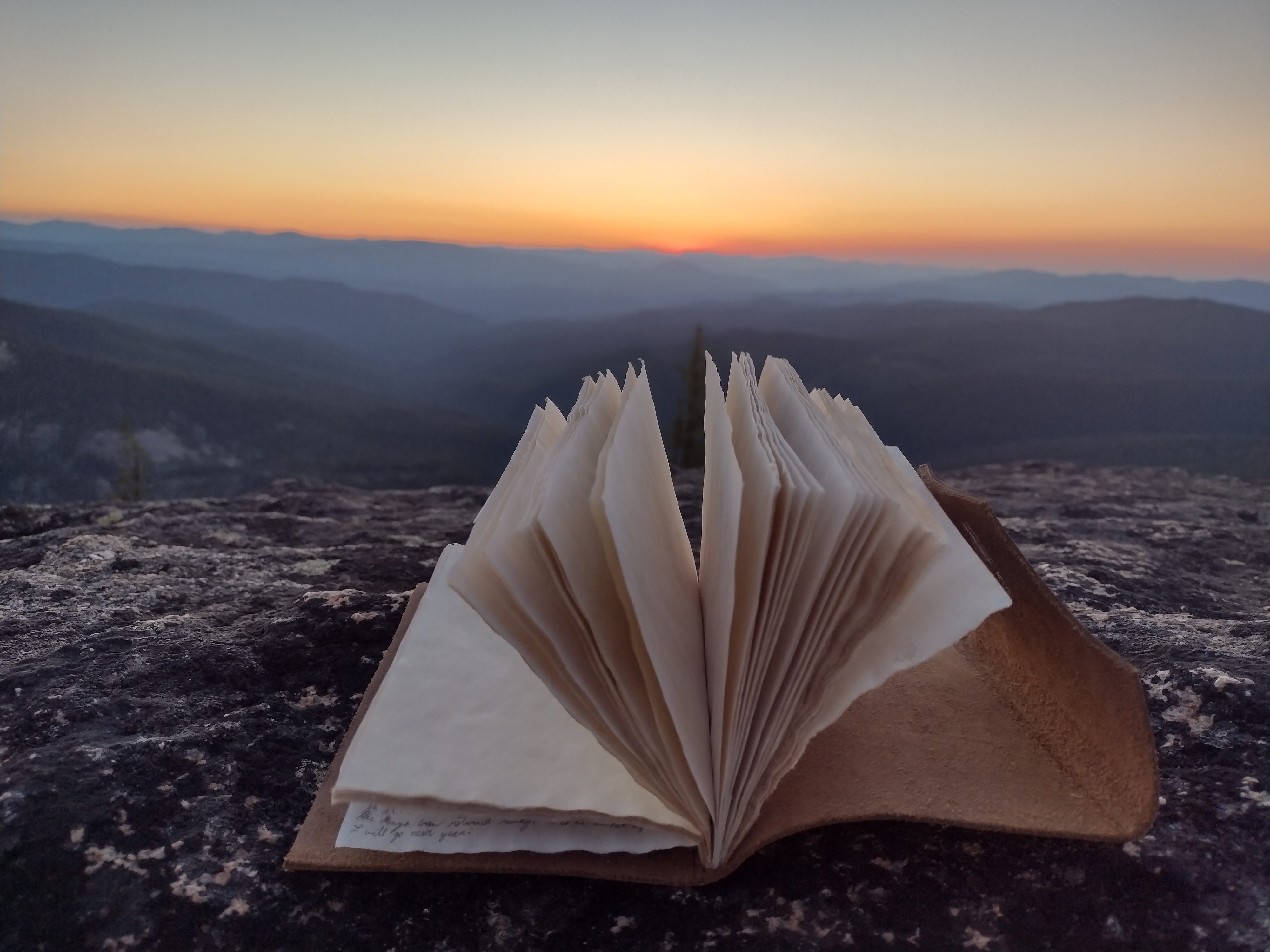 field notes on a cliff