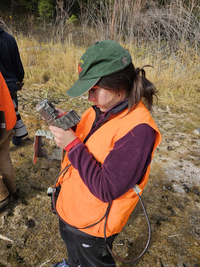 Katie Chavez examining wildlife camera