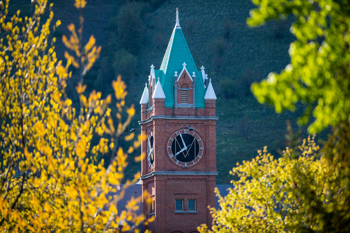 Spring day on UM campus