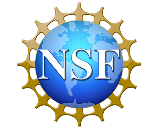 nsf logo