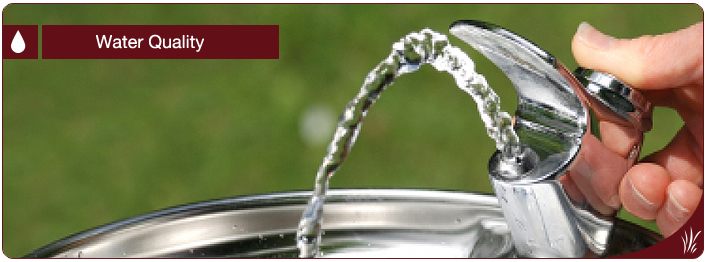 UM Campus: Water Quality