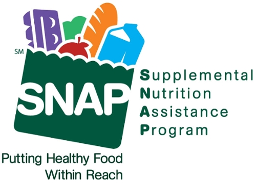 Decorative Image of SNAP Logo
