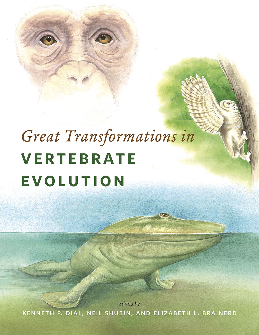 Book cover Great Transformations