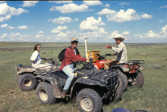 surveying a prairie dog colony