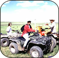 three researchers parked on four-wheelers
