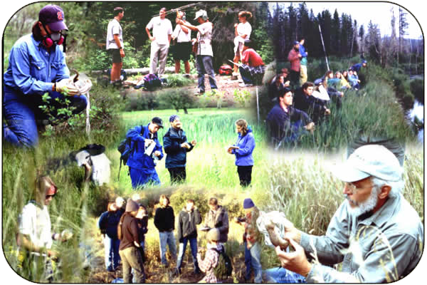 collage of students working and conducting research in nature
