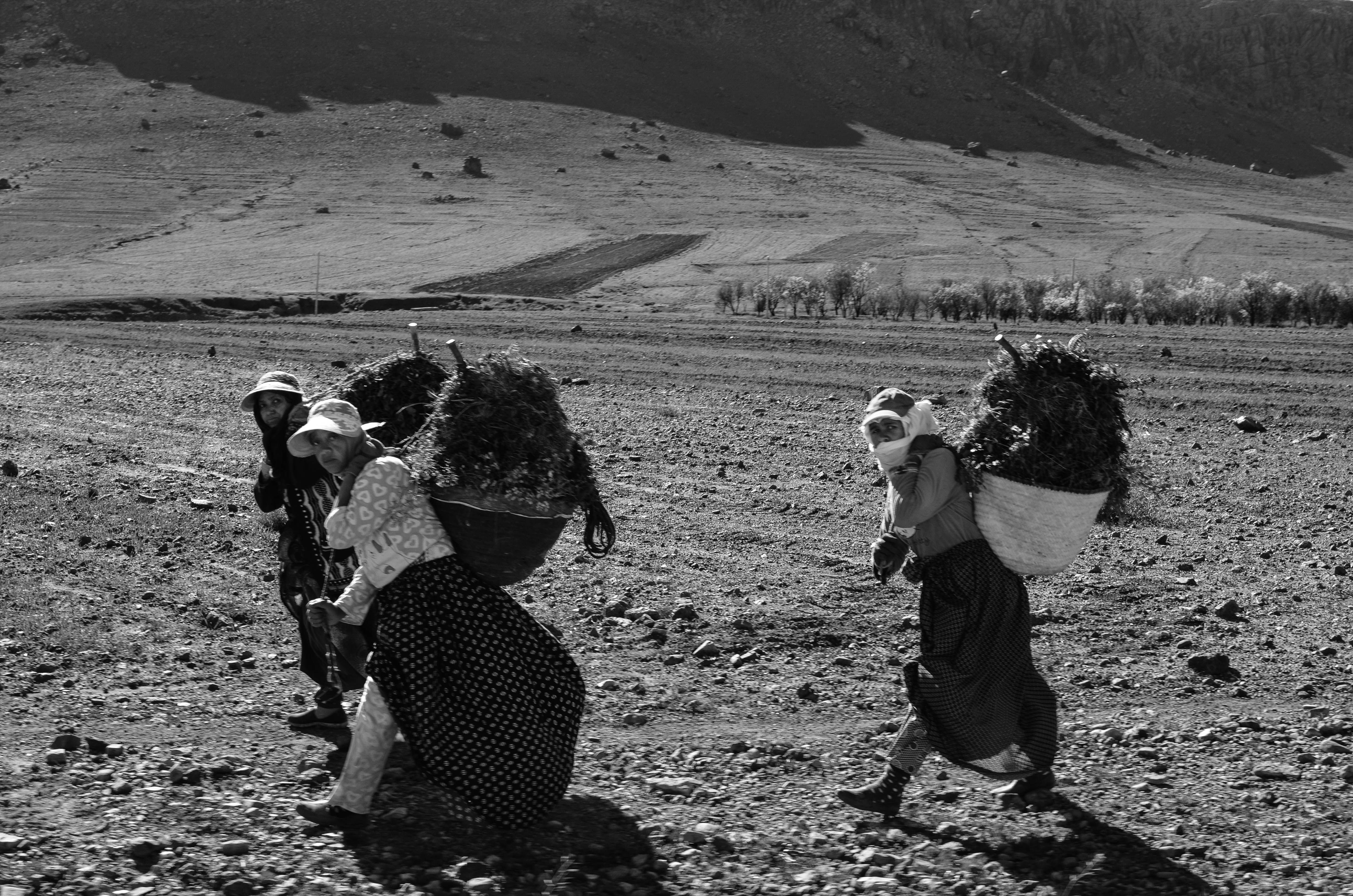 Photo by Elan Badminton of ladies carrying water in Morocco