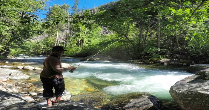 fishing in montana