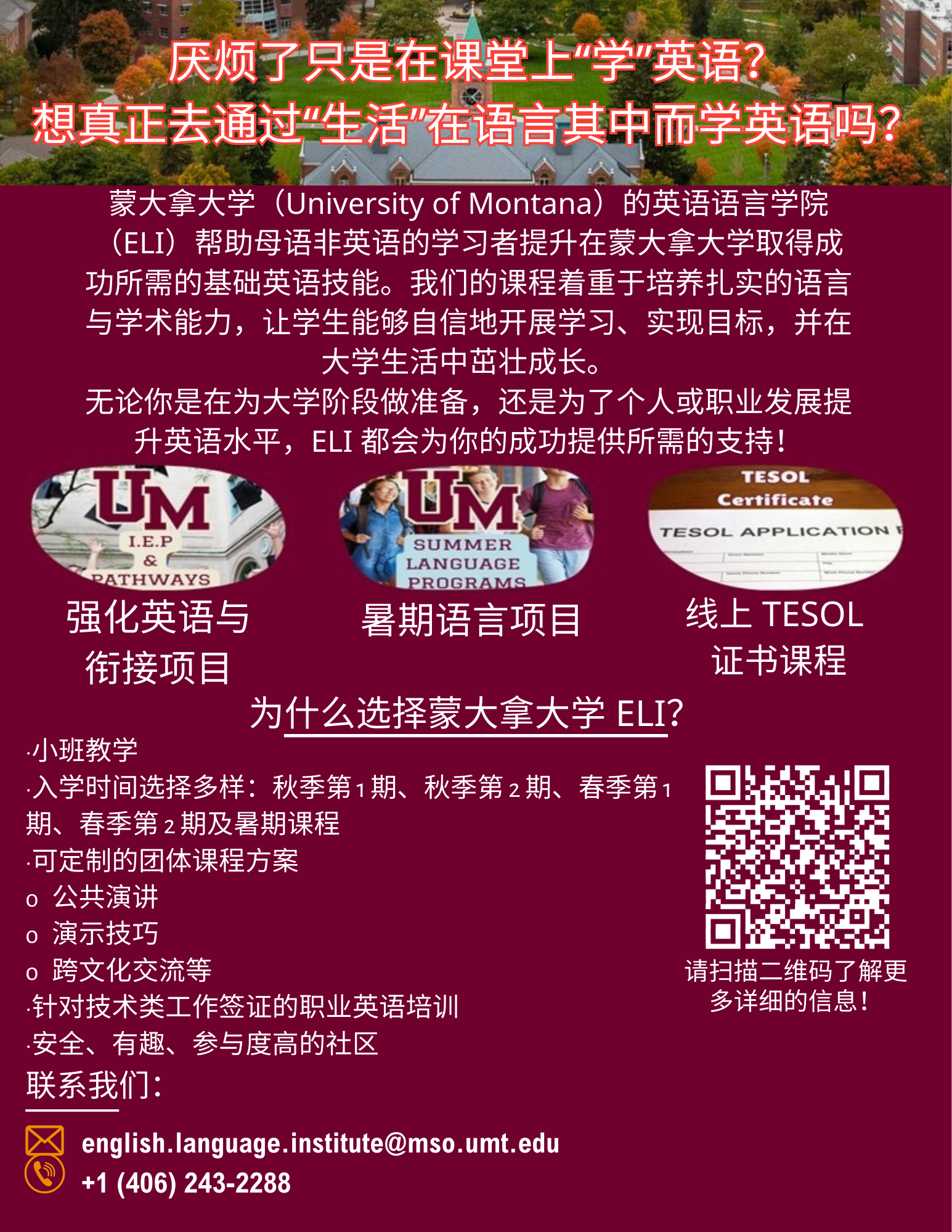 simplified chinese translated eli program flier