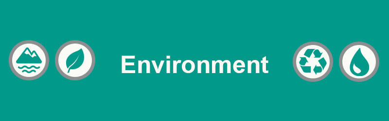 Environment