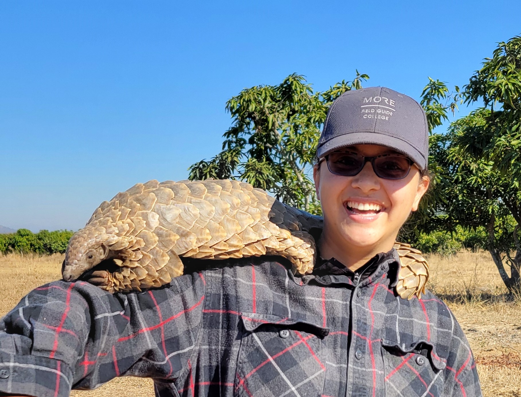 university student stands holding an African Pangolin on her arm