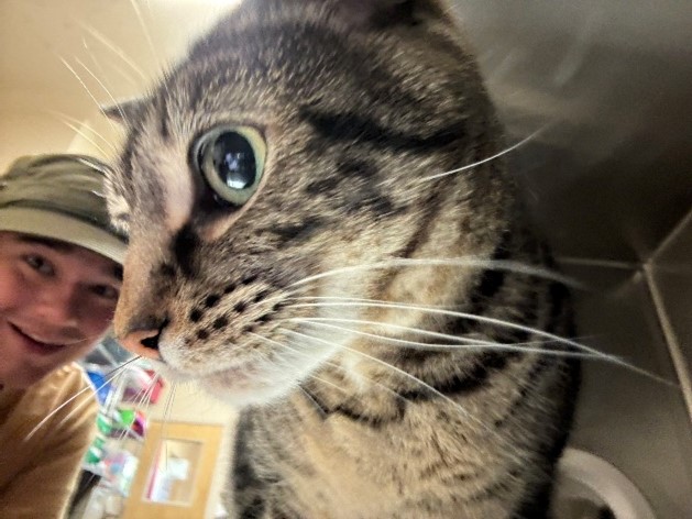 student hangs out with cat at animal shelter