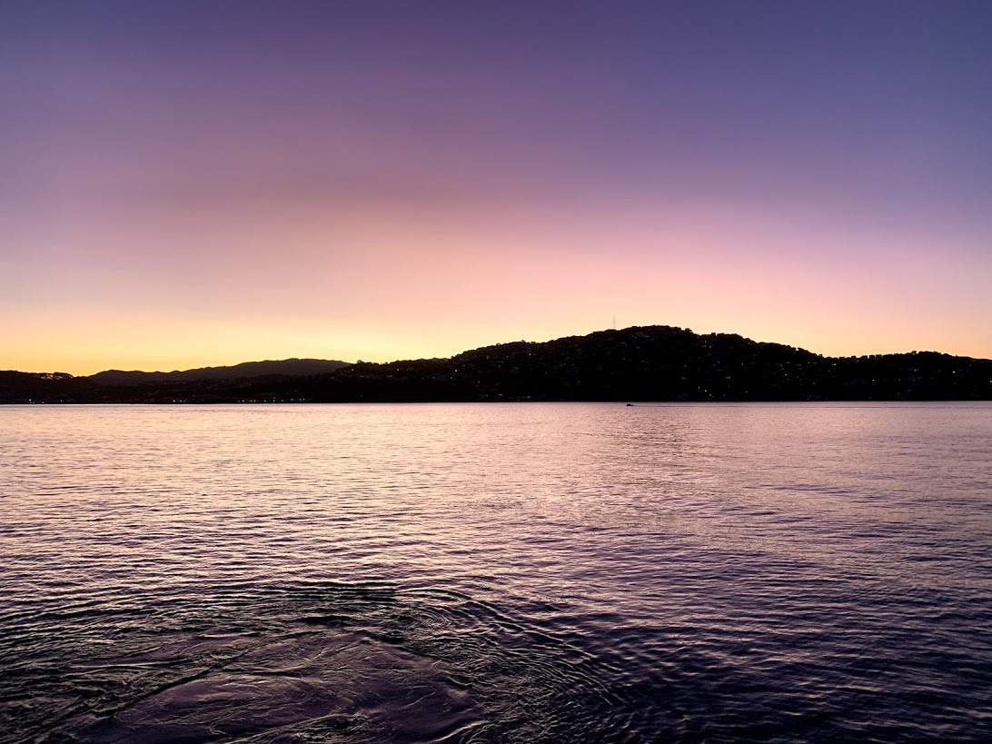 new zealand from the water at sunset