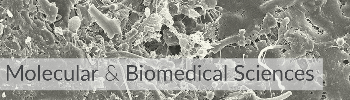 Banner: Molecular and Biomedical Sciences Background image