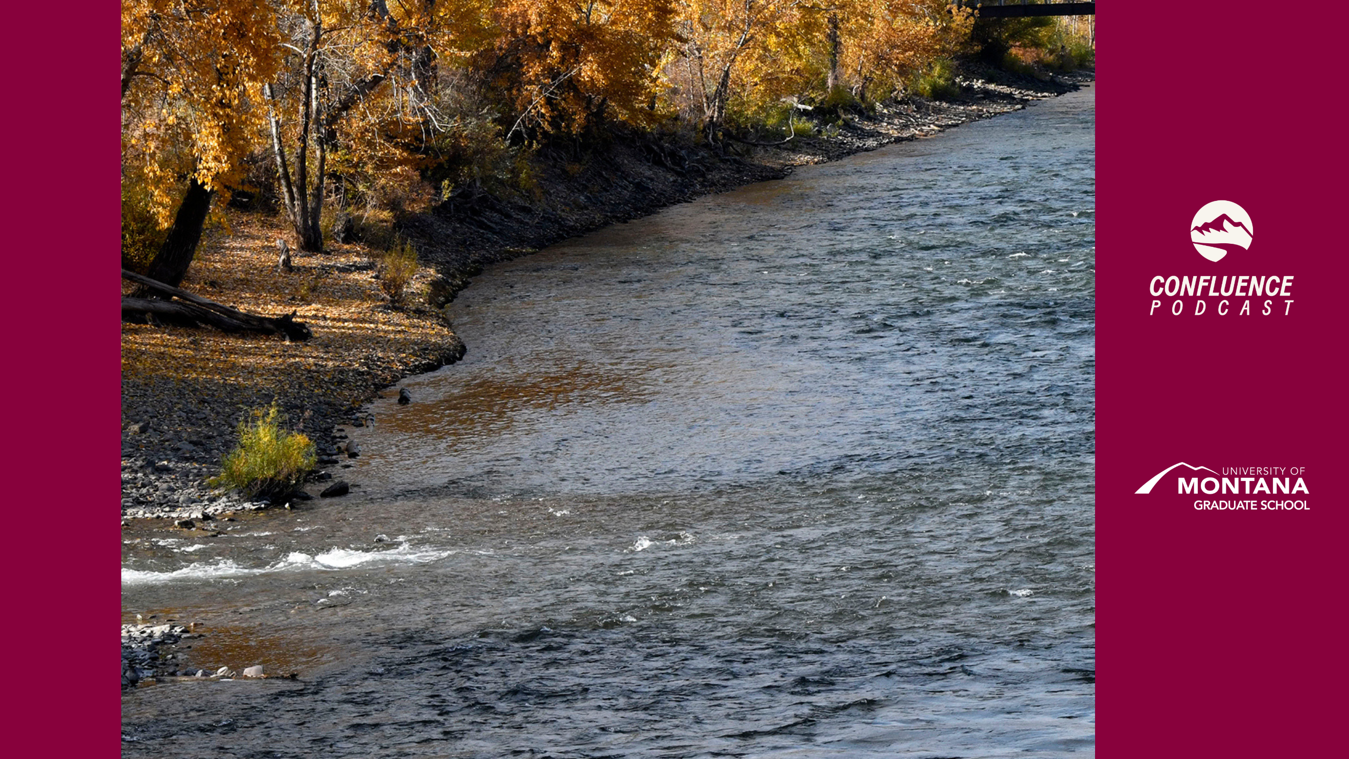 river bank