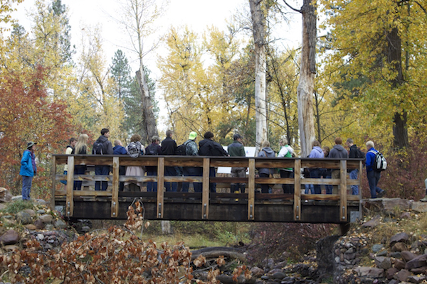 Photo of students on a bridge at Greenough Park.