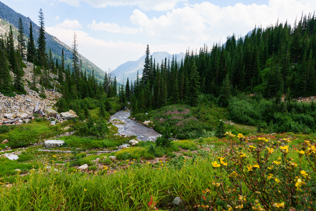Bass Creek Scenic Picture