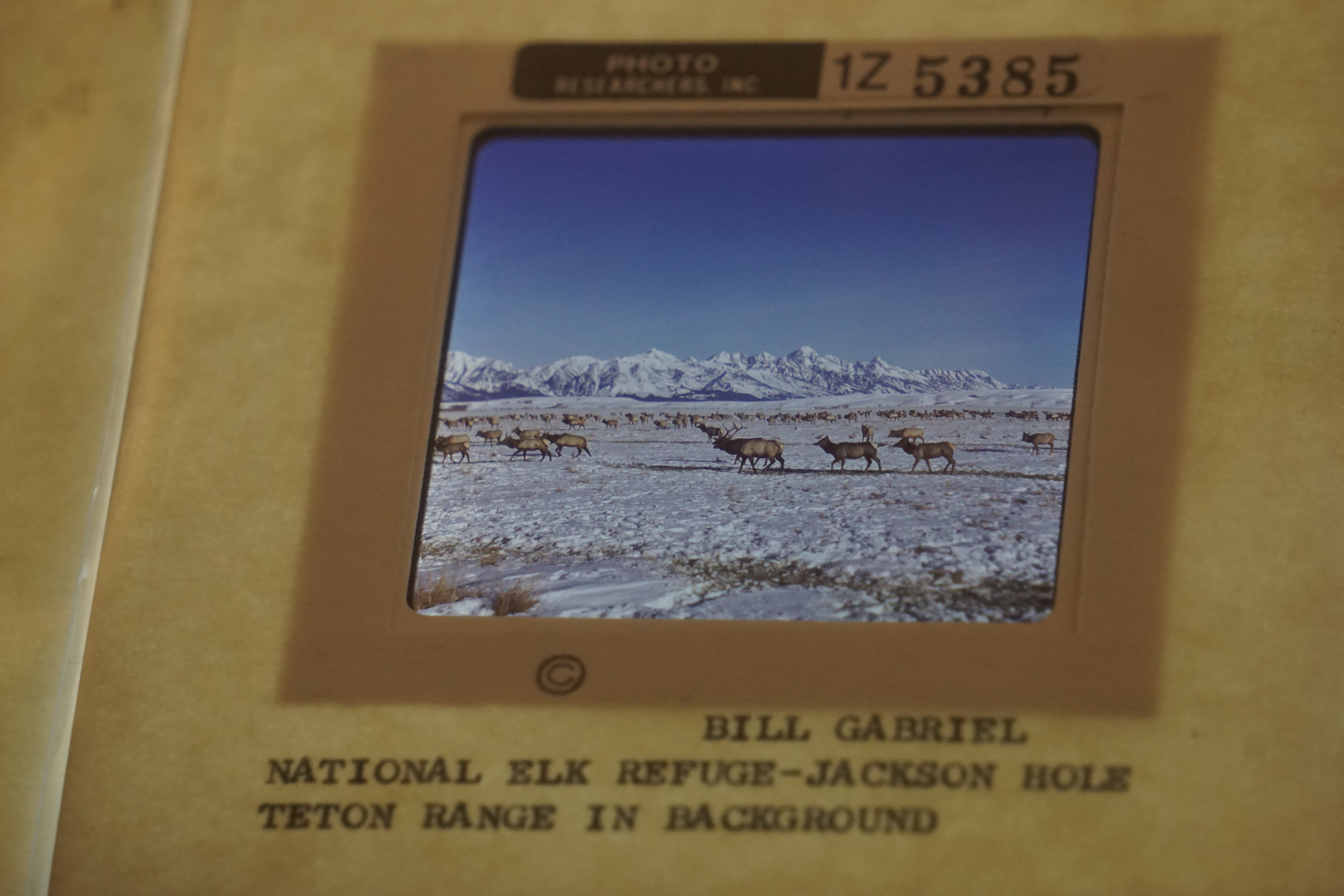 Slide from the Gabriel Photograph Collection