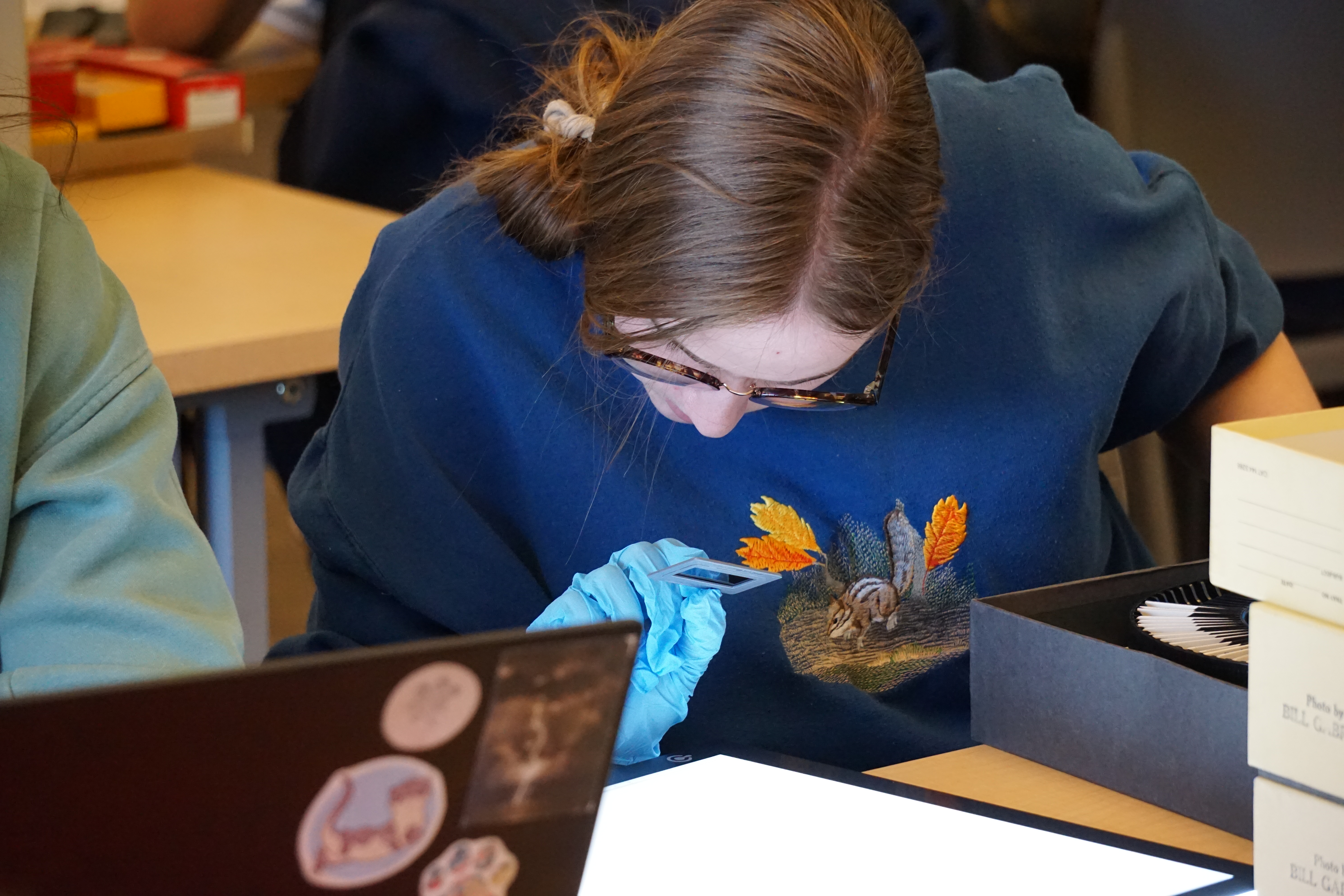 Students explore collection